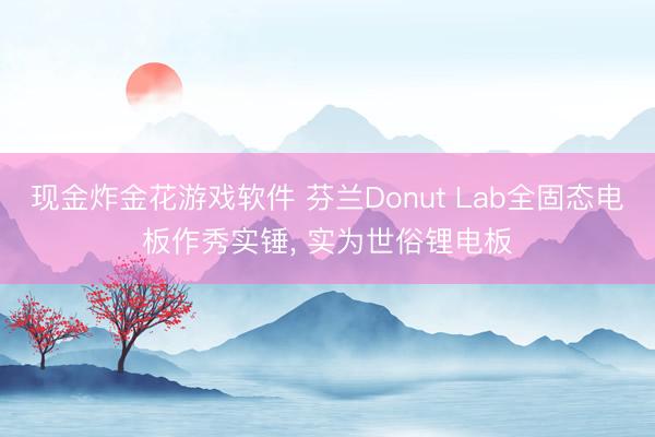 现金炸金花游戏软件 芬兰Donut Lab全固态电板作秀实锤， 实为世俗锂电板